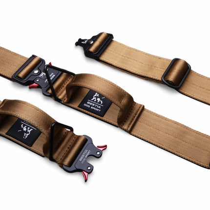 Two brown dog training straps with black buckles on a white background