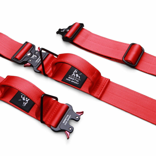 Red and black buckles on a white background