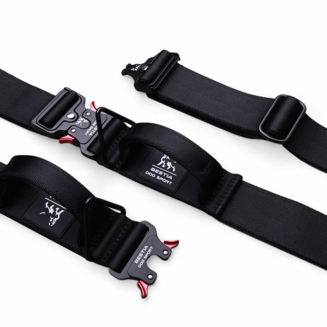 Black dog training straps with adjustable buckles on a white background
