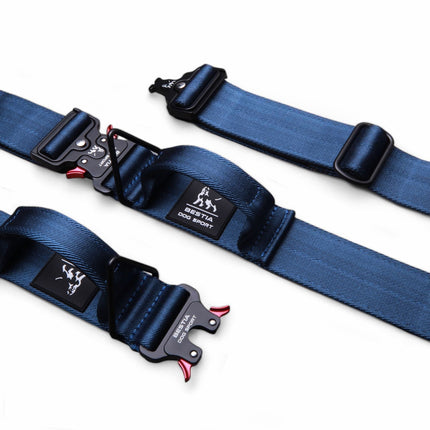 Blue and black buckles on a white background