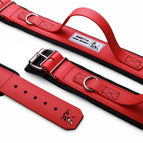 Medium / All Red