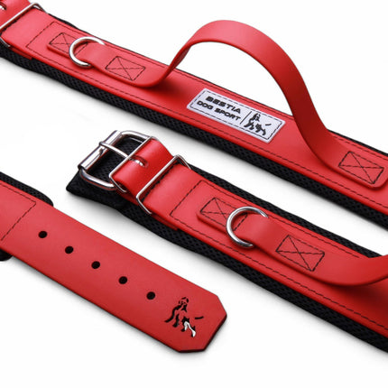 Bestia Dog Sport Handle Collar for Large Breeds, Heavy-Duty with Soft Cushion Interior