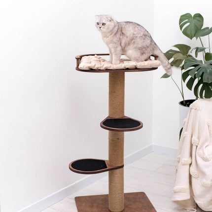 Cat sitting on a multi-level cat tree with a plant and blanket in the background