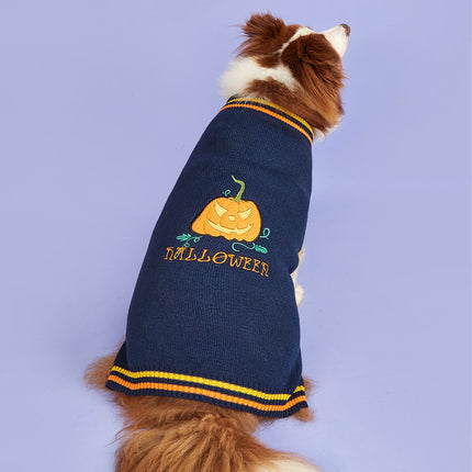 Dog wearing a navy blue sweater with Halloween design on a purple background