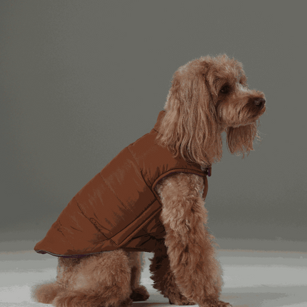 Reversible Dog Vest Jacket – Purple Caramel