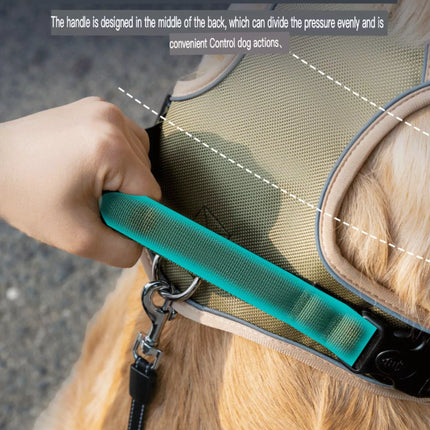 Dog carrier with a green handle, showing a hand holding it, on a blurred outdoor background.