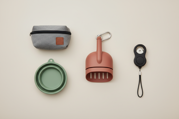 Essential Walking Accessories - Fresh Flat Lay