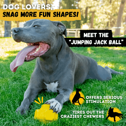 Dog playing with a yellow 'Jumping Jack Ball' toy on grass, with promotional text about the product.