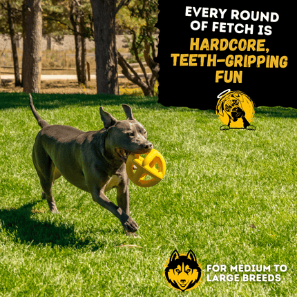 Dog running with a yellow toy in a grassy field, promotional text overlay.