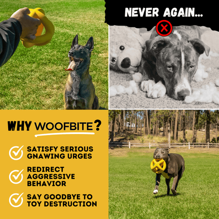 Dog playing with a toy, text about Woofbite product, and images of a dog with a chewed-up toy and a forest.