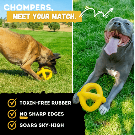 Two dogs playing with a yellow rubber toy on grass, with text highlighting product features.