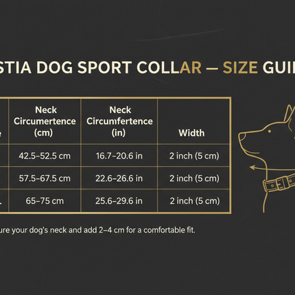 Bestia 2-Inch Ultra Heavy-Duty Sport Collar size guide showing neck measurements for sizes M, L, XL, and XXL