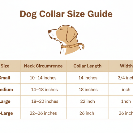 Dog collar size guide showing Small, Medium, Large, and X-Large sizing with neck circumference and collar dimensions