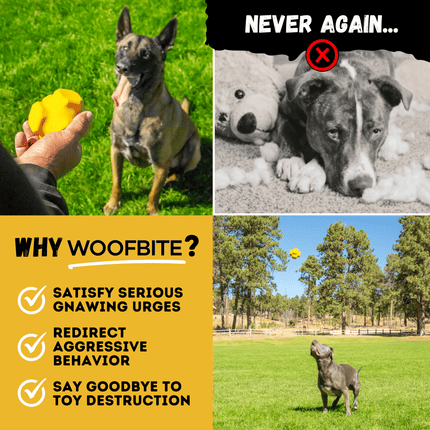 Promotional graphic for Woofbite product with images of a dog, text, and outdoor scene.