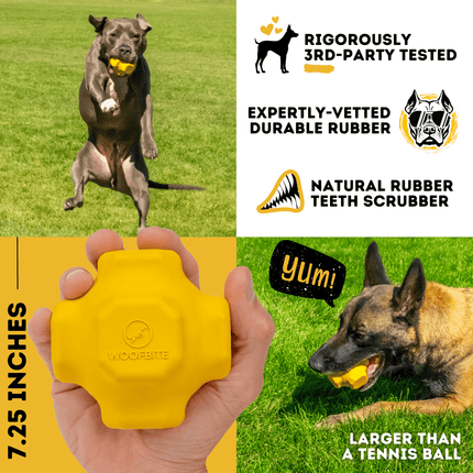 Dog playing with a yellow rubber toy on grass, with product details and branding displayed.