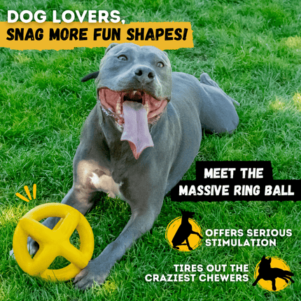 Dog playing with a yellow ring ball on grass, with promotional text about the product.