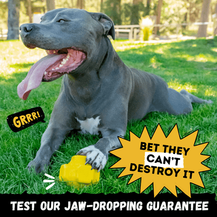 Dog playing with a yellow toy on grass, with promotional text overlay.