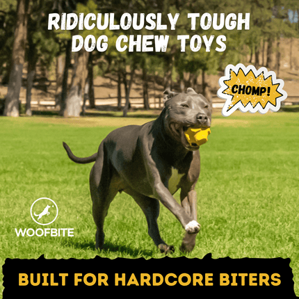Dog playing with a yellow chew toy in a park, with text about dog chew toys and WoofBite brand.