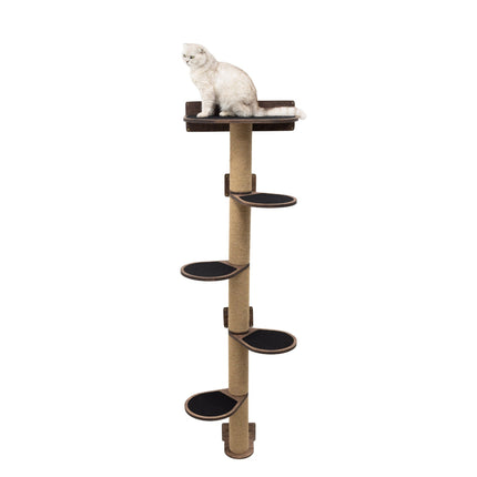 Cat sitting on a multi-level cat tree with a white background