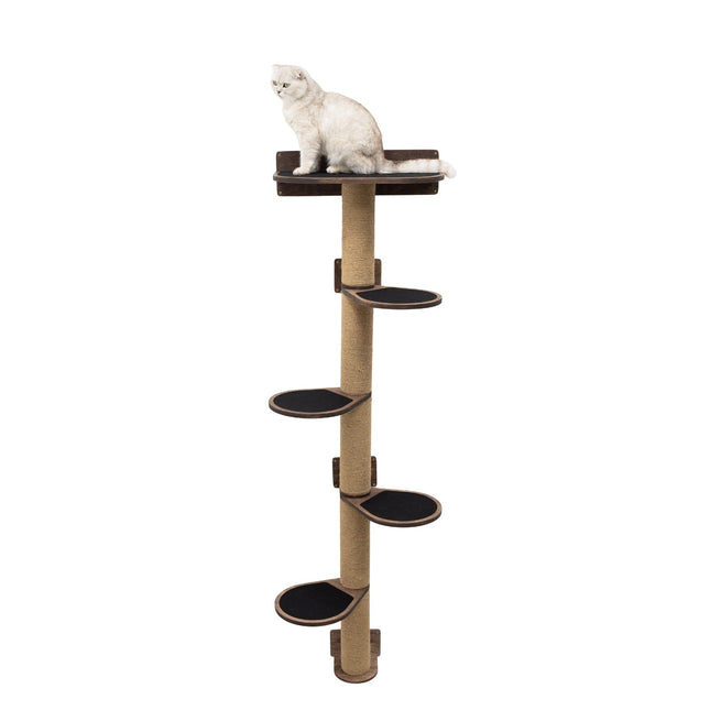 Cat sitting on a multi-level cat tree with a white background