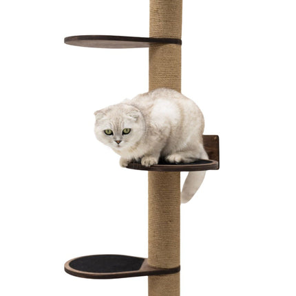 Cat sitting on a wooden scratching post with shelves on a white background