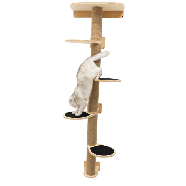 Cat climbing a multi-level cat tree with beige and brown colors on a white background