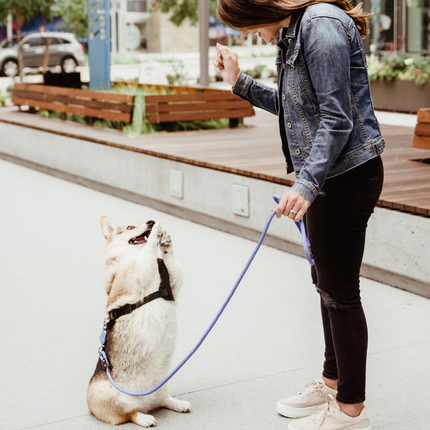 Woman standing with a dog on a leash in an urban setting