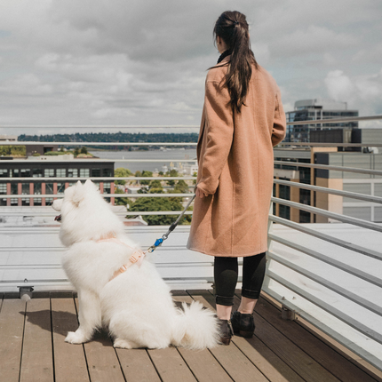 Woman in a tan coat with a white dog on a leash on a rooftop deck.