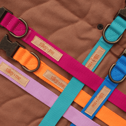 Colorful dog collars with 'tilley+me' labels on a brown textured background