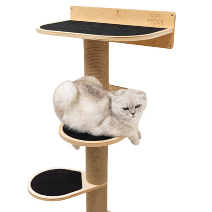 Cat lounging on a wooden cat tree with 'cats MODE' branding.
