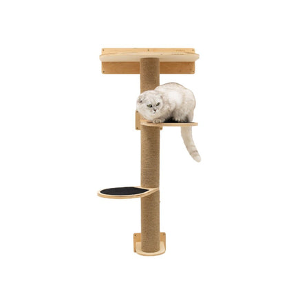 Cat sitting on a wooden cat tree with a white background
