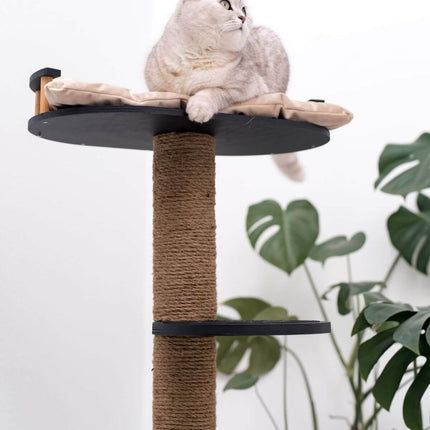Cat sitting on a cat tree with a plant in the background