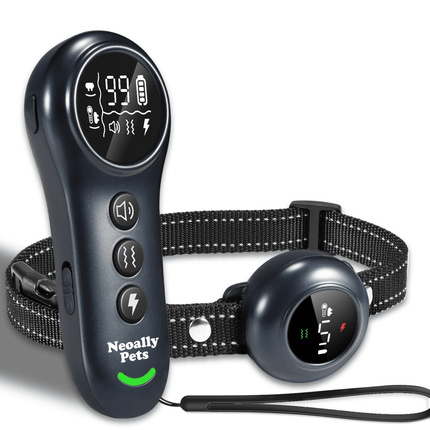 A pet remote training collar set on a white background, featuring a handheld remote with a digital screen and buttons, a matching round collar tag, and a black reflective strap.