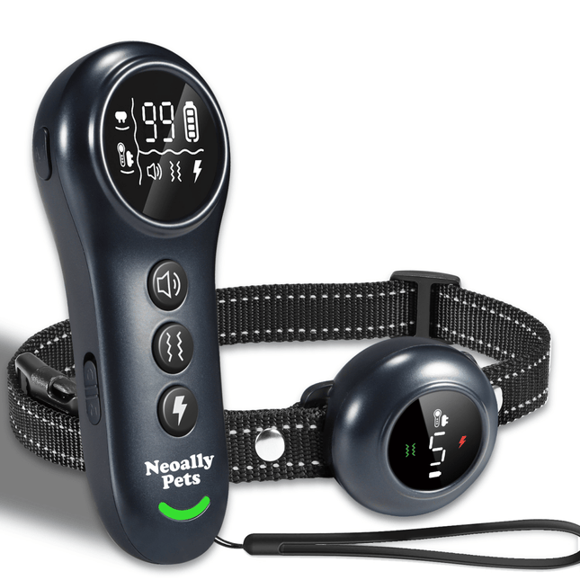 A pet remote training collar set on a white background, featuring a handheld remote with a digital screen and buttons, a matching round collar tag, and a black reflective strap.