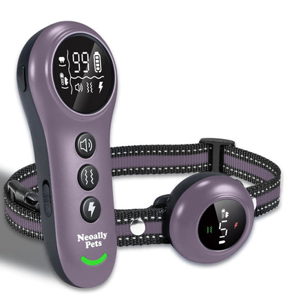 Purple pet training collar with remote control on a white background