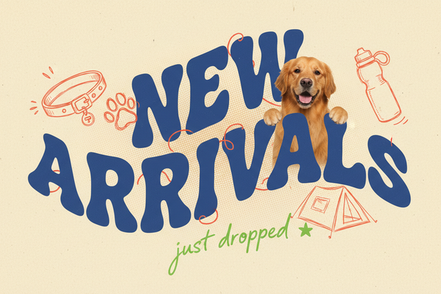 New Arrivals Typography