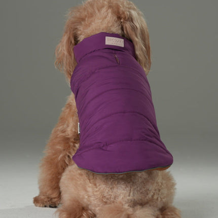 Dog wearing a purple coat on a gray background