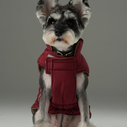 Dog wearing a red coat on a gray background