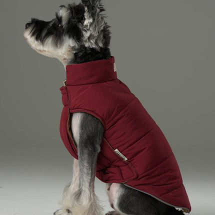 Dog wearing a red puffer coat on a plain background