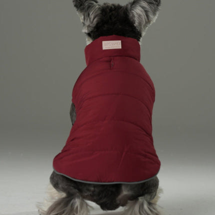 Dog wearing a red jacket on a gray background
