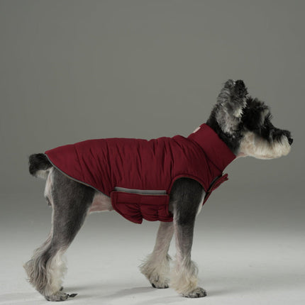 Dog wearing a red coat on a gray background