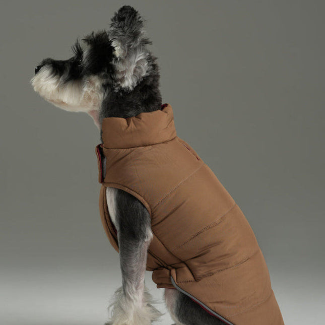 Dog wearing a brown puffer vest on a gray background