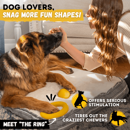 Woman petting a dog with a toy, promotional text about 'The Ring' toy for dogs.