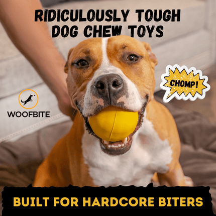 Dog chewing on a yellow ball with text aboutWoofbite dog chew toys.