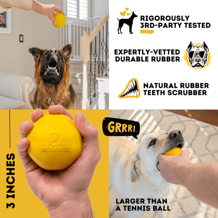 Dog playing with a yellow rubber ball, with text about the product's features and testing.