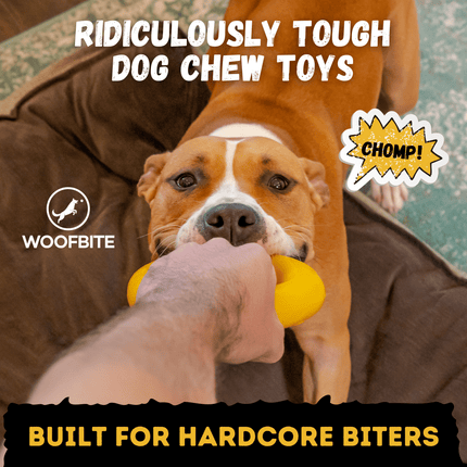 Power Ring – Rubber Chew & Tug Toy