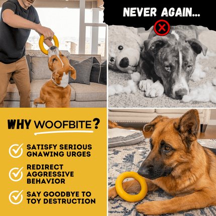 Power Ring – Rubber Chew & Tug Toy