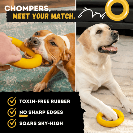 Power Ring – Rubber Chew & Tug Toy