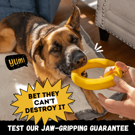 Power Ring – Rubber Chew & Tug Toy