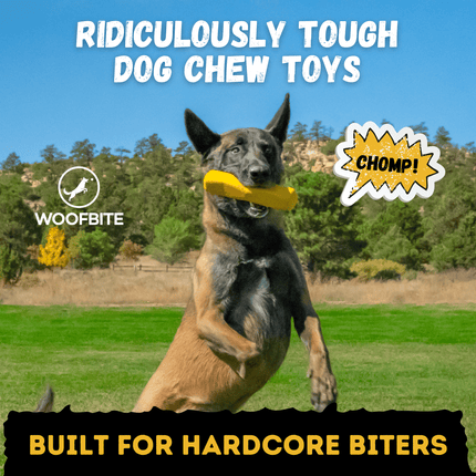 Yellow indestructible dog chew stick being caught in the air by a german shepard